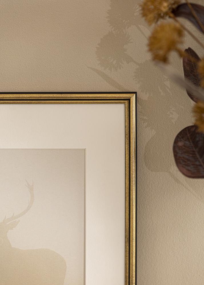 Fotolijst Horndal Acrylglas Goud 7x10 cm