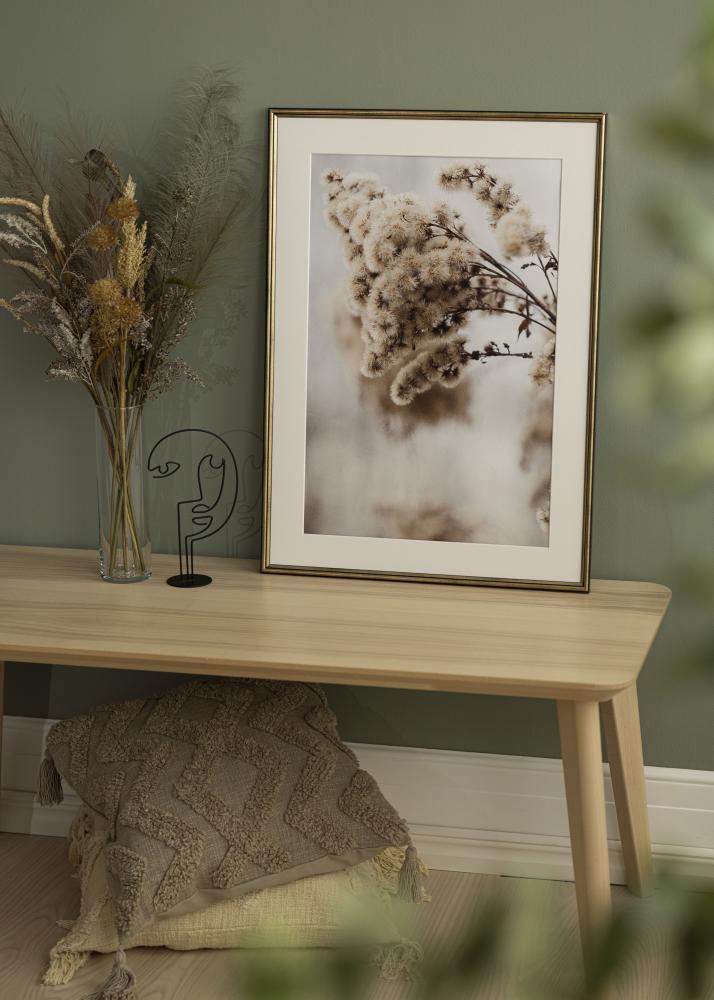 Fotolijst Horndal Acrylglas Goud 7x10 cm