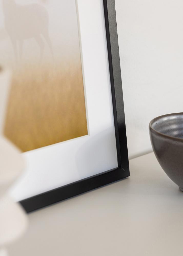 Fotolijst Trendy Acrylglas Zwart 29,7x42 cm (A3)