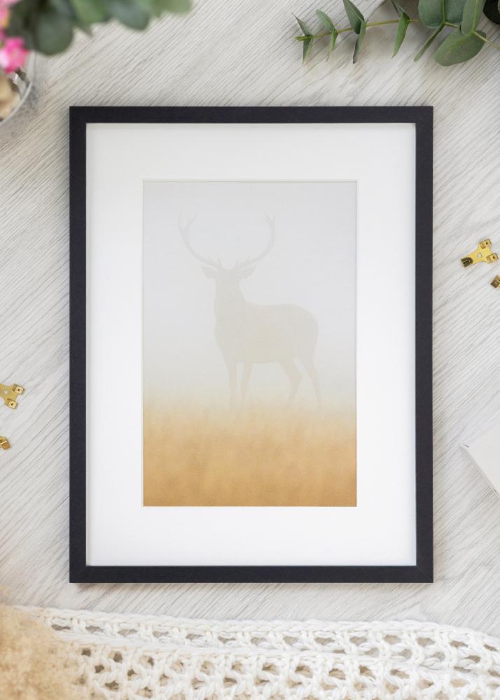 Fotolijst Trendy Acrylglas Zwart 29,7x42 cm (A3)