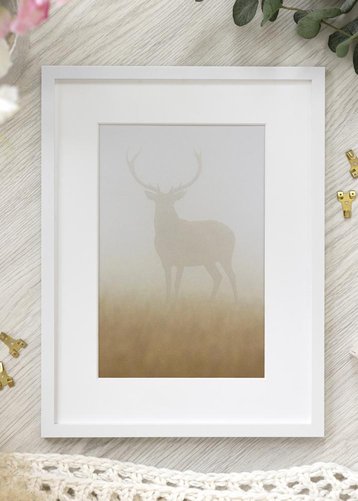 Fotolijst Trendy Acrylglas Wit 29,7x42 cm (A3)