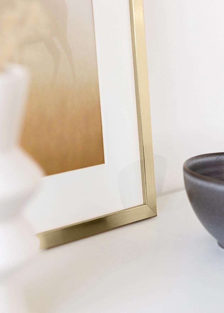 Fotolijst Trendy Acrylglas Goud 21x29,7 cm (A4)