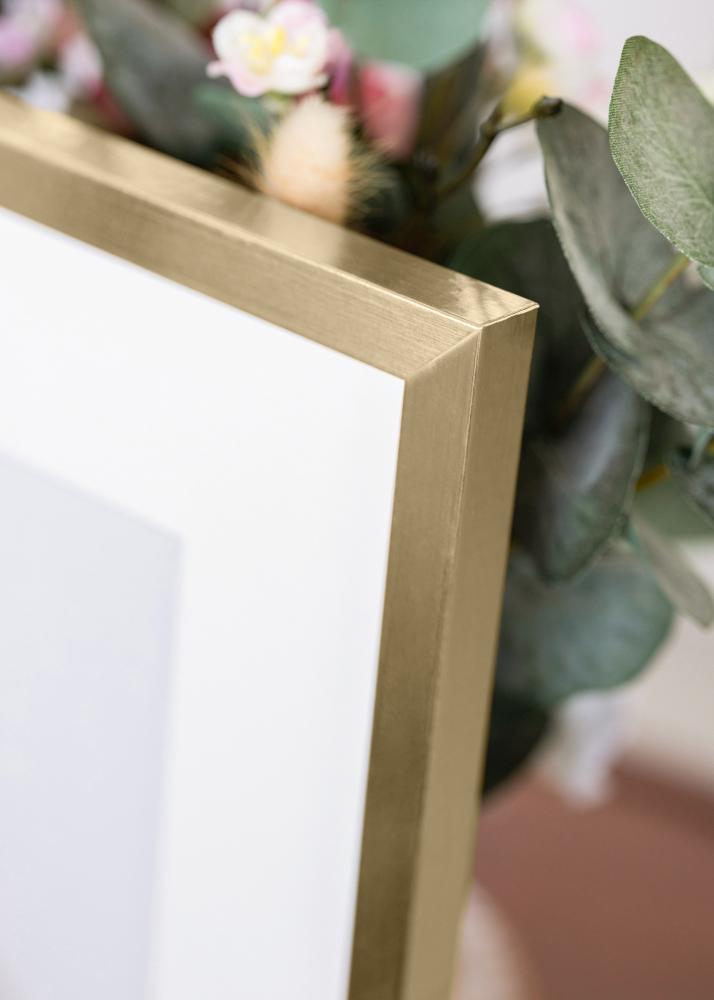 Fotolijst Trendy Acrylglas Goud 21x29,7 cm (A4)
