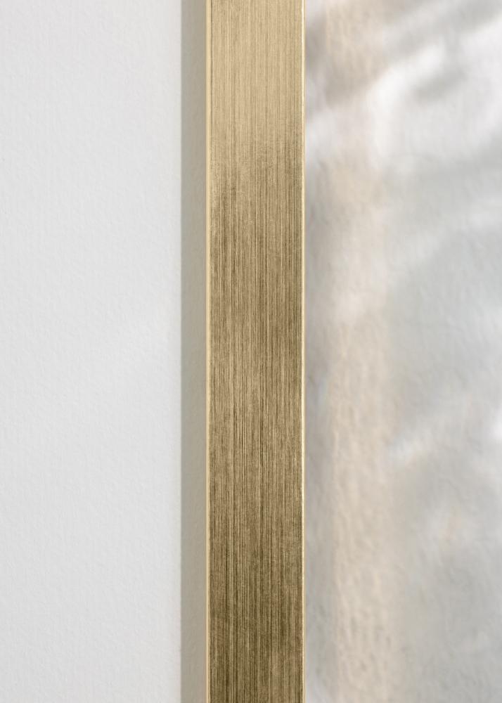 Fotolijst Trendy Acrylglas Goud 21x29,7 cm (A4)