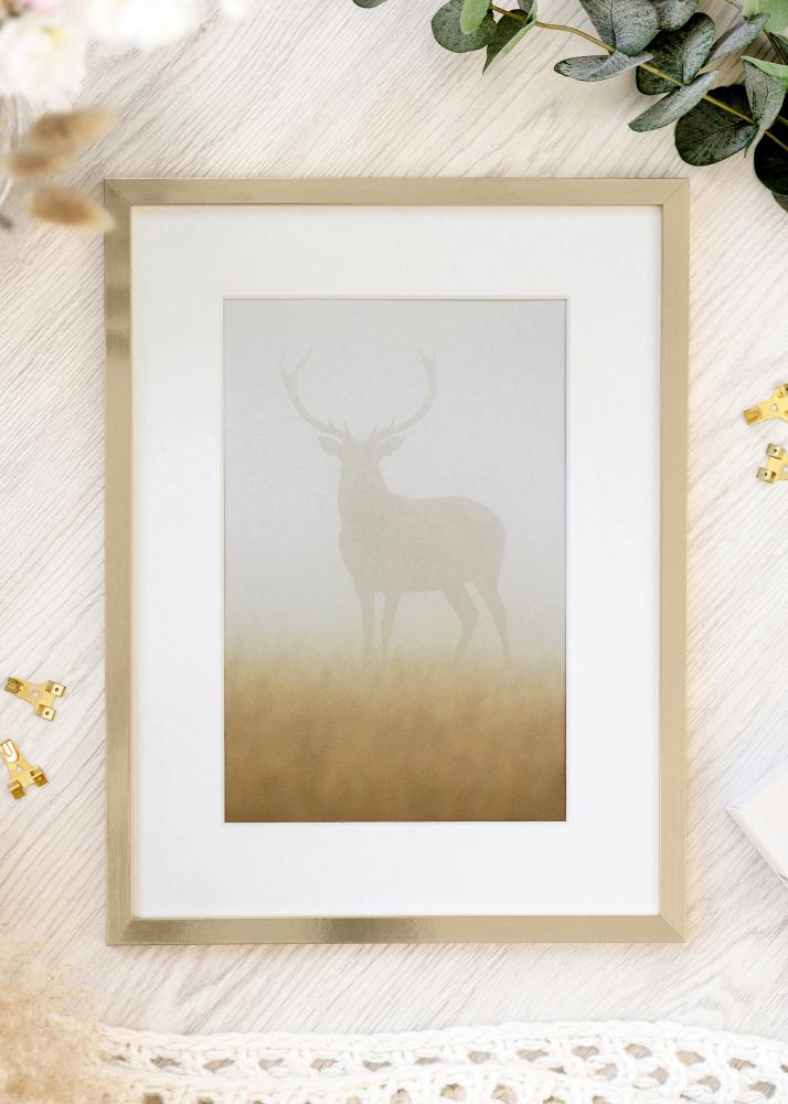 Fotolijst Trendy Acrylglas Goud 21x29,7 cm (A4)