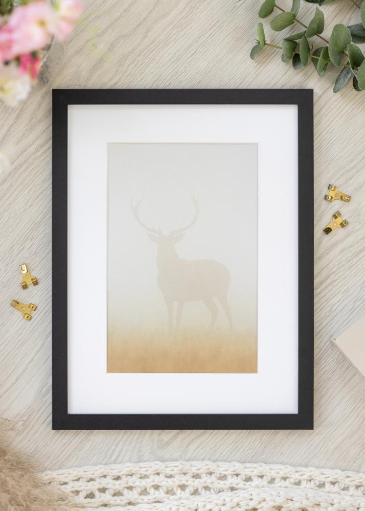 Fotolijst BGA Classic Acrylglas Zwart 29,7x42 cm (A3)