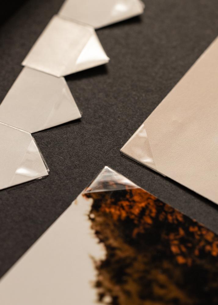 BGA Fotohoekjes - 250 st.