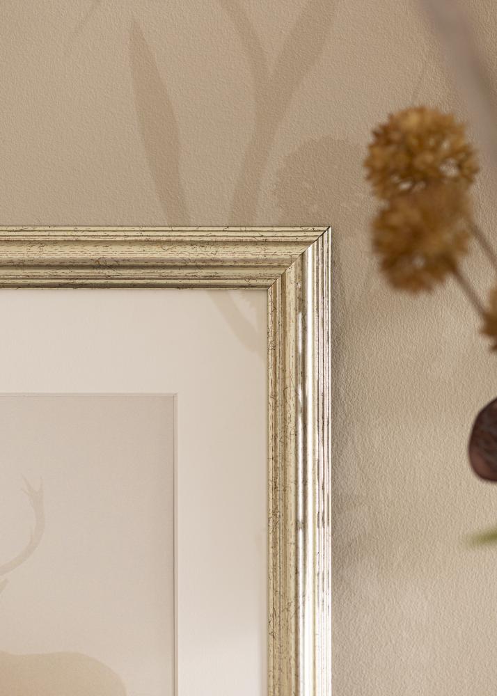 Fotolijst Västkusten Acrylglas Zilver 24x30 cm