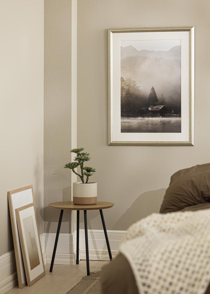 Fotolijst Västkusten Acrylglas Zilver 24x30 cm