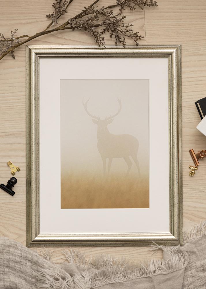 Fotolijst Västkusten Acrylglas Zilver 24x30 cm