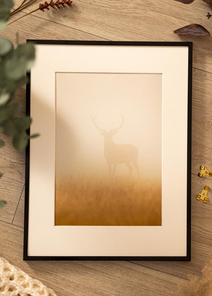 Aluminium fotolijst Acrylglas Zwart 50x70 cm