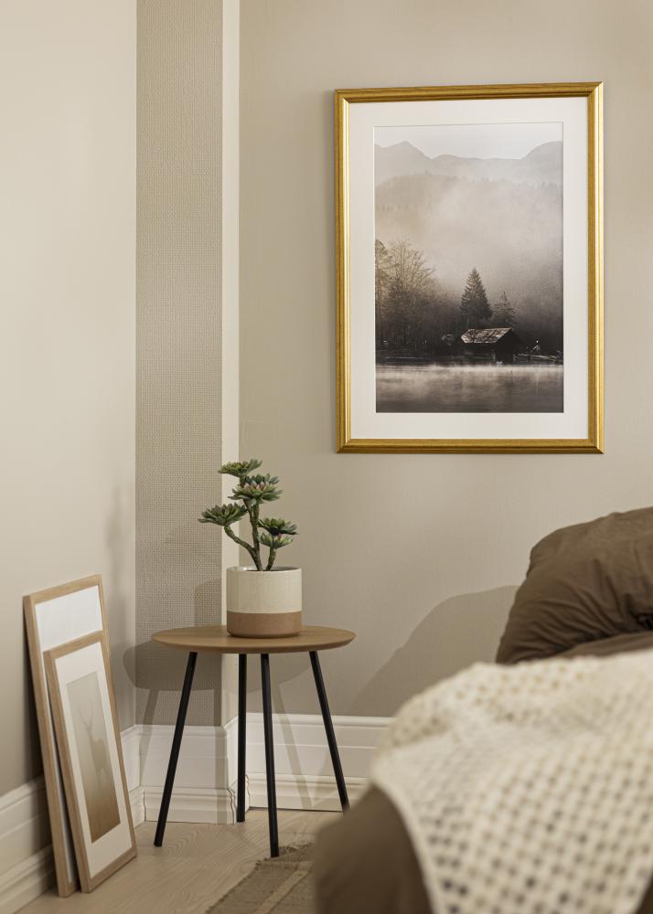 Fotolijst Västkusten Acrylglas Goud 50x70 cm