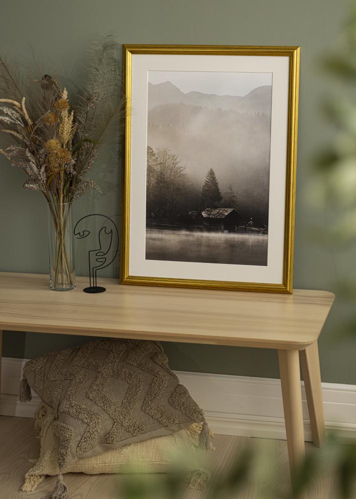 Fotolijst Västkusten Acrylglas Goud 50x70 cm