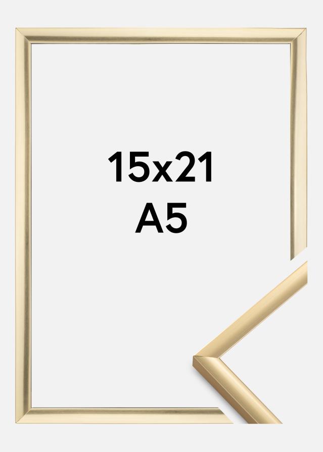 Fotolijst New Lifestyle Acrylglas Goud 15x21 cm (A5)