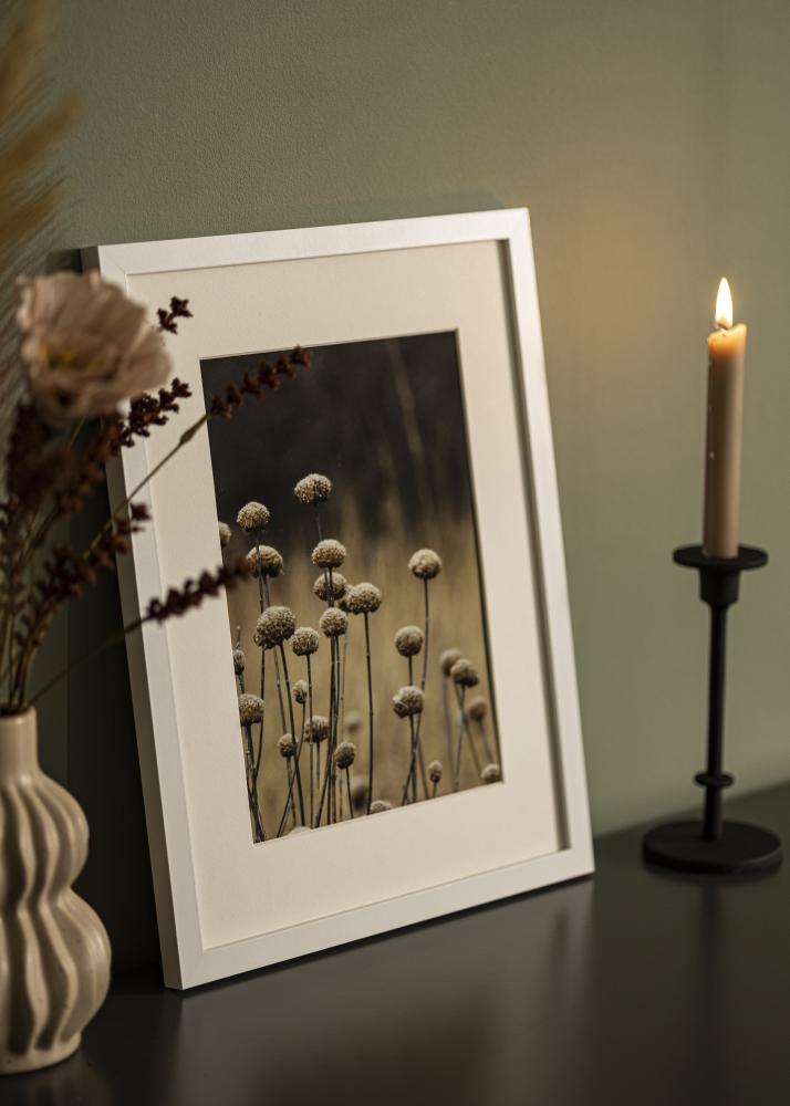 Fotolijst Selection Acrylglas Wit 21x29,7 cm (A4)