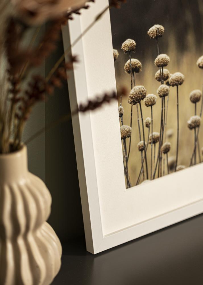 Fotolijst Selection Acrylglas Wit 21x29,7 cm (A4)