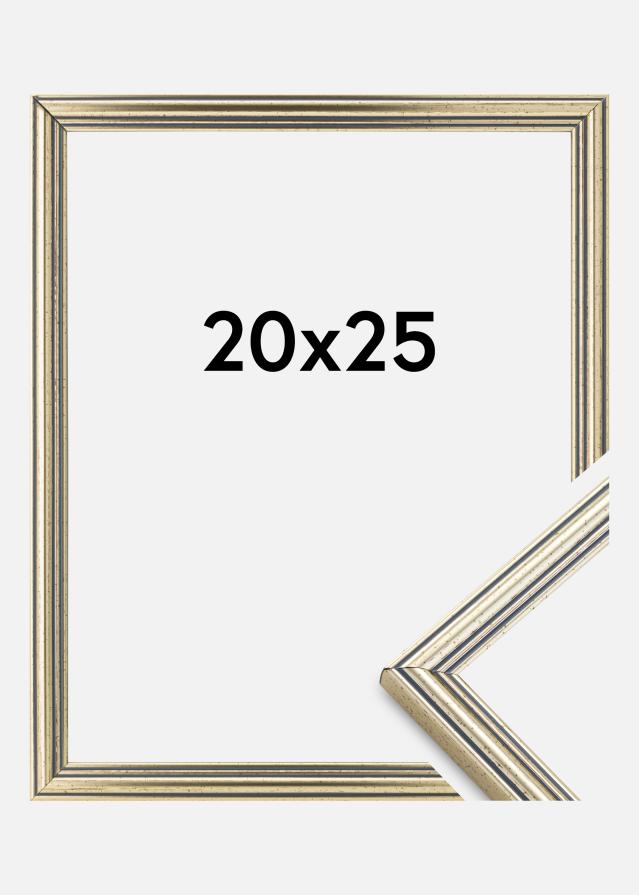 Fotolijst Classic Zilver 20x25 cm
