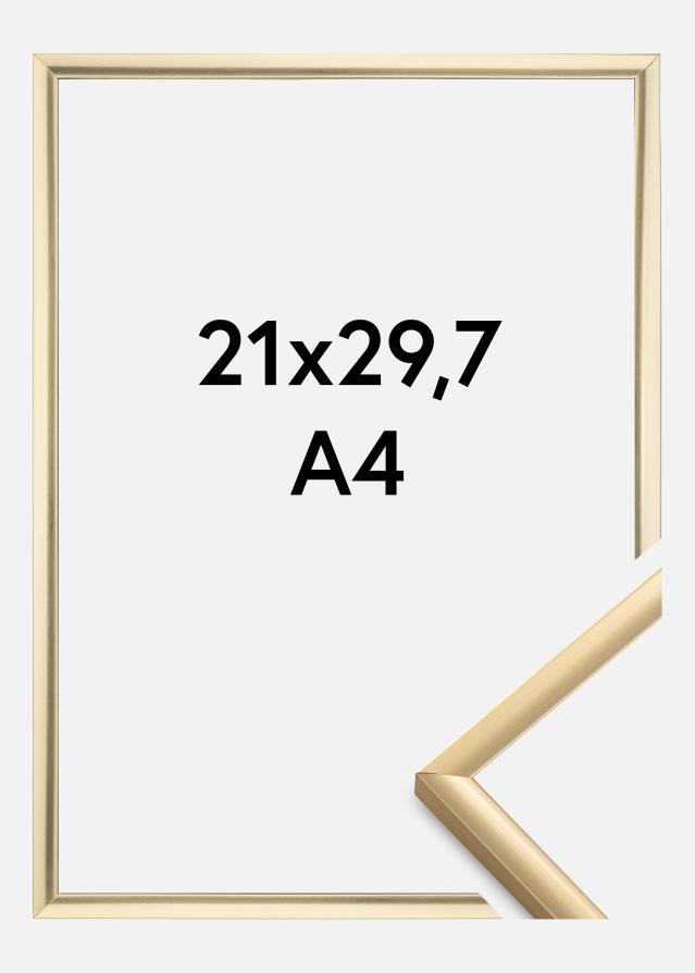 Fotolijst New Lifestyle Acrylglas Goud 21x29,7 cm (A4)