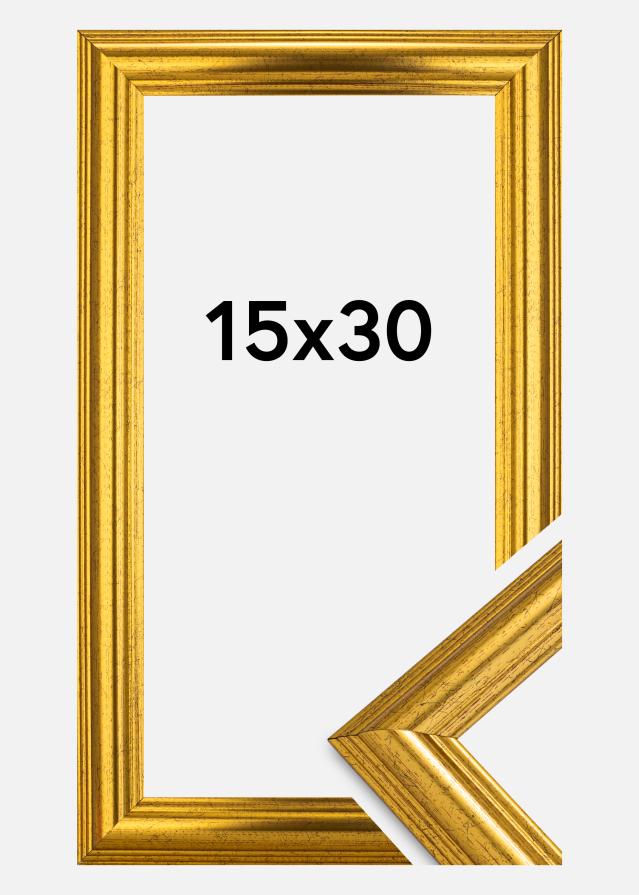 Fotolijst Västkusten Acrylglas Goud 15x30 cm