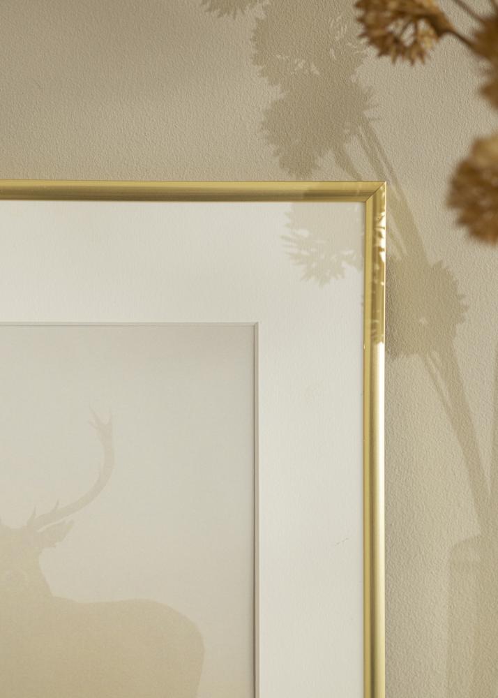 Fotolijst New Lifestyle Acrylglas Goud 30x40 cm