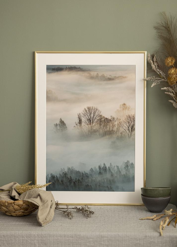 Fotolijst New Lifestyle Acrylglas Goud 30x40 cm