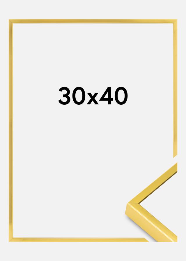 Aluminium fotolijst Acrylglas Goud 30x40 cm