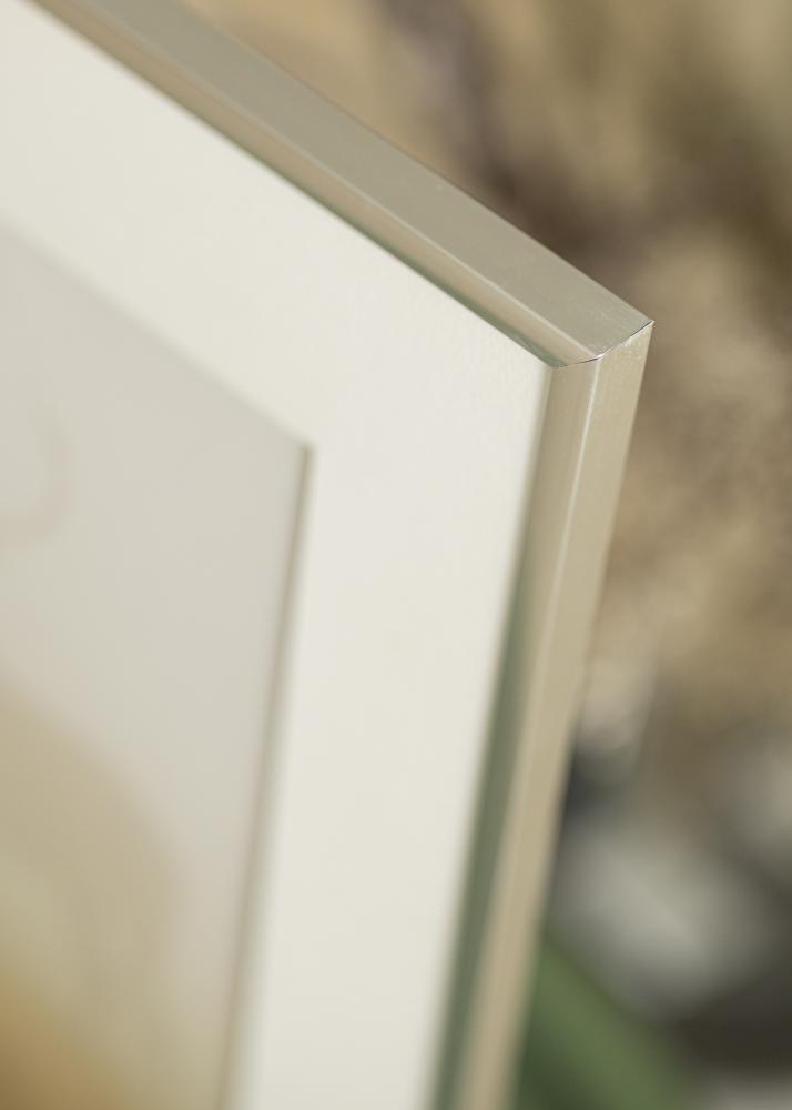 Fotolijst New Lifestyle Acrylglas Zilver 21x29,7 cm (A4)