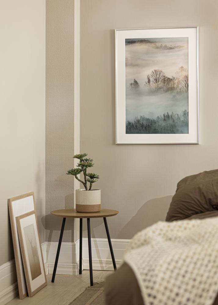 Fotolijst New Lifestyle Acrylglas Zilver 21x29,7 cm (A4)