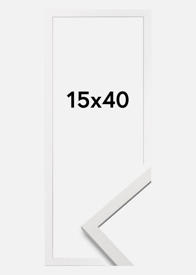 Fotolijst Edsbyn Acrylglas Wit 15x40 cm