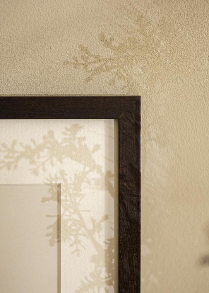 Fotolijst Selection Acrylglas Walnoot 59,4x84,1 cm (A1)