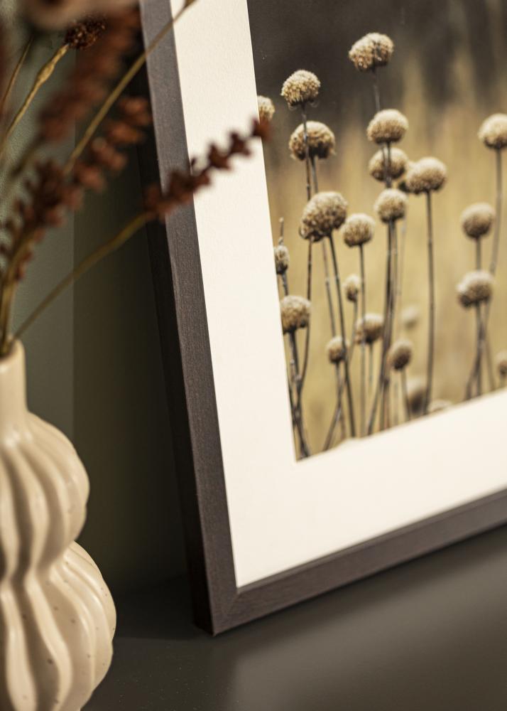 Fotolijst Selection Acrylglas Walnoot 59,4x84,1 cm (A1)