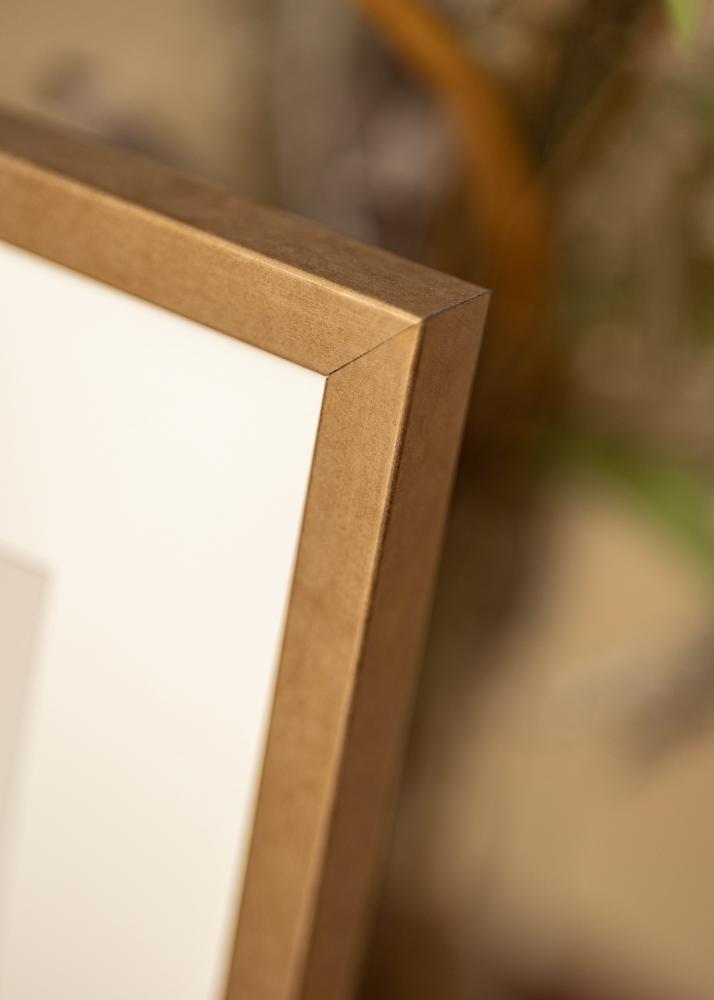 Fotolijst Ares Acrylglas Messing 21x29,7 cm (A4)