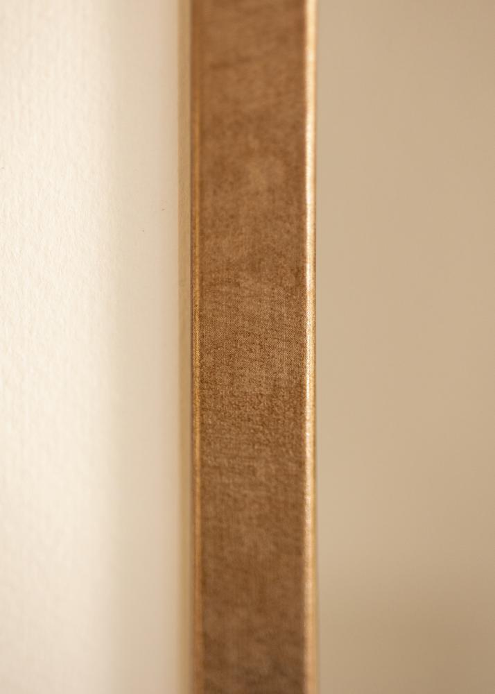 Fotolijst Ares Acrylglas Messing 21x29,7 cm (A4)