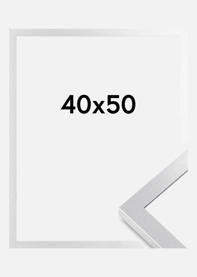 Fotolijst Selection Acrylglas Zilver 40x50 cm