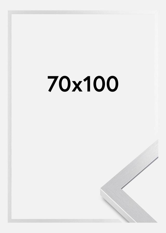 Fotolijst Selection Acrylglas Zilver 70x100 cm