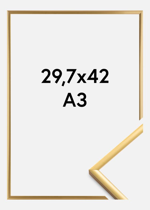 Fotolijst New Lifestyle Acrylglas Shiny Gold 29,7x42 cm (A3)