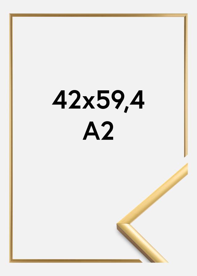 Fotolijst New Lifestyle Acrylglas Shiny Gold 42x59,4 cm (A2)