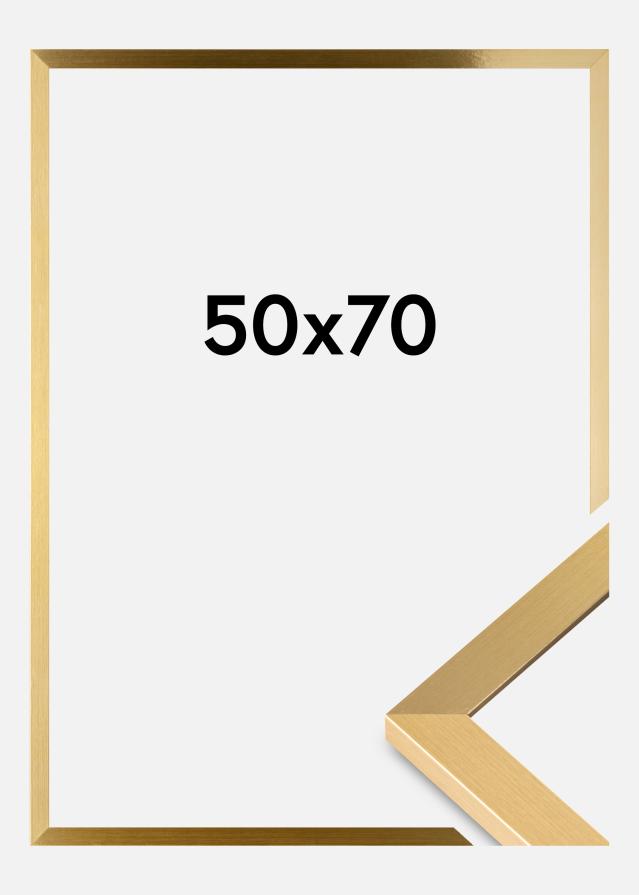 Fotolijst Selection Acrylglas Goud 50x70 cm