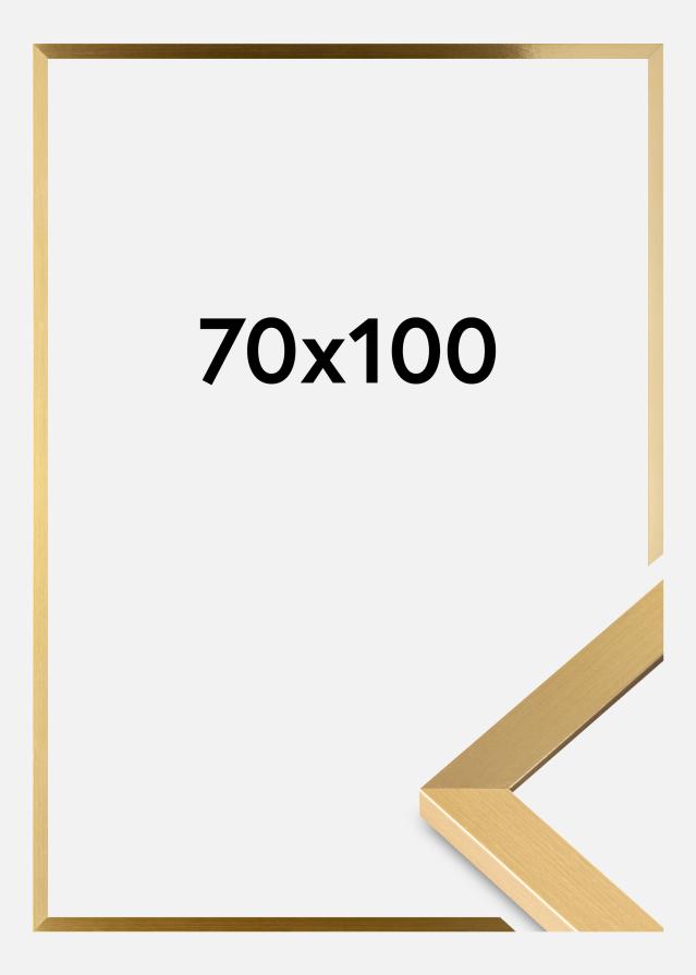 Fotolijst Selection Acrylglas Goud 70x100 cm