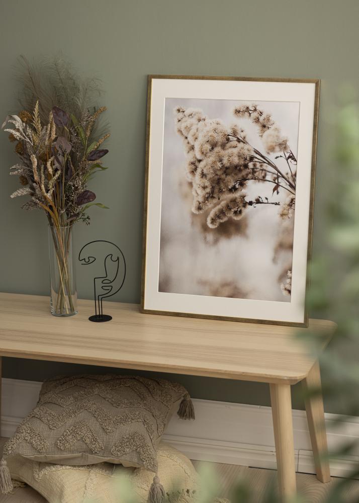 Fotolijst Galant Acrylglas Goud 50x70 cm