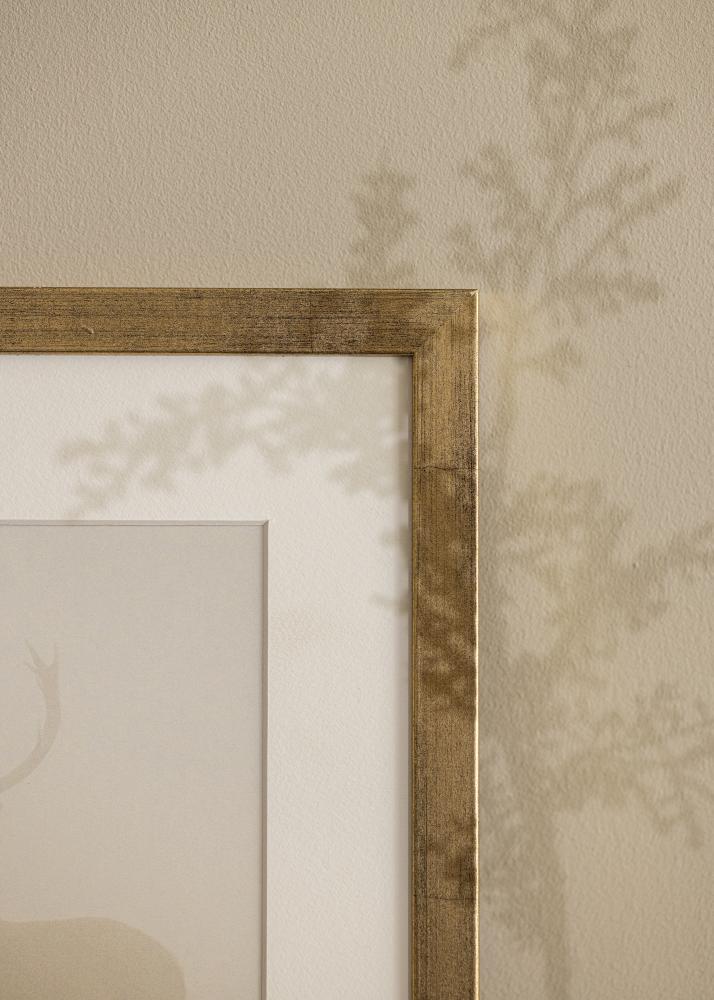 Fotolijst Stilren Acrylglas Goud 50x70 cm