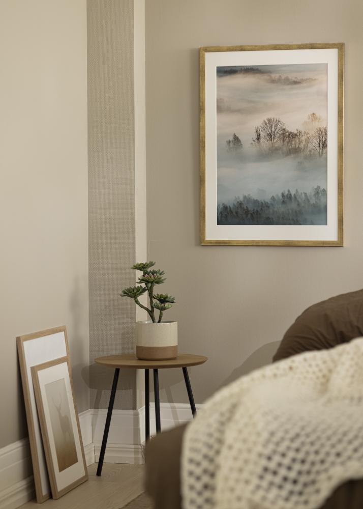 Fotolijst Stilren Acrylglas Goud 50x70 cm