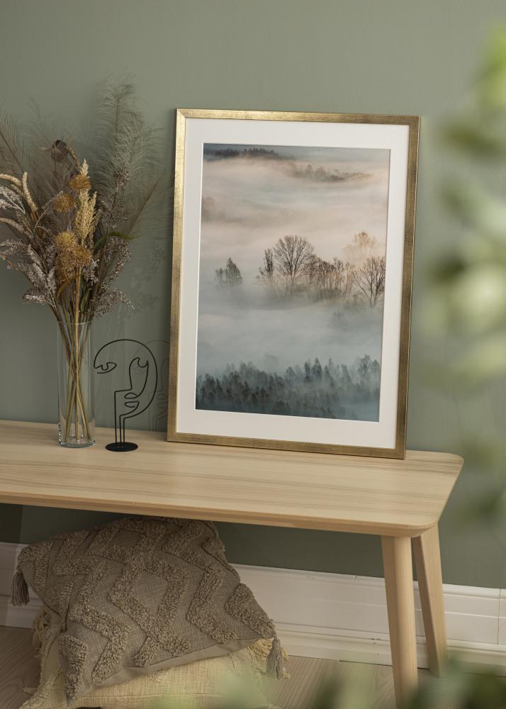 Fotolijst Stilren Acrylglas Goud 50x70 cm