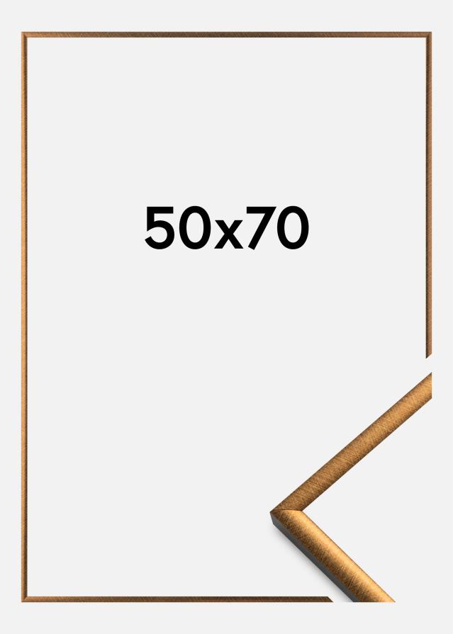 Fotolijst New Lifestyle Acrylglas Brons 50x70 cm