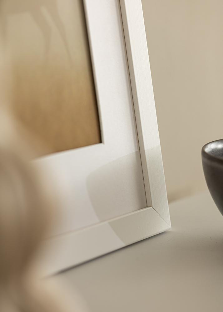 Fotolijst Trendline Acrylglas Wit 30x60 cm