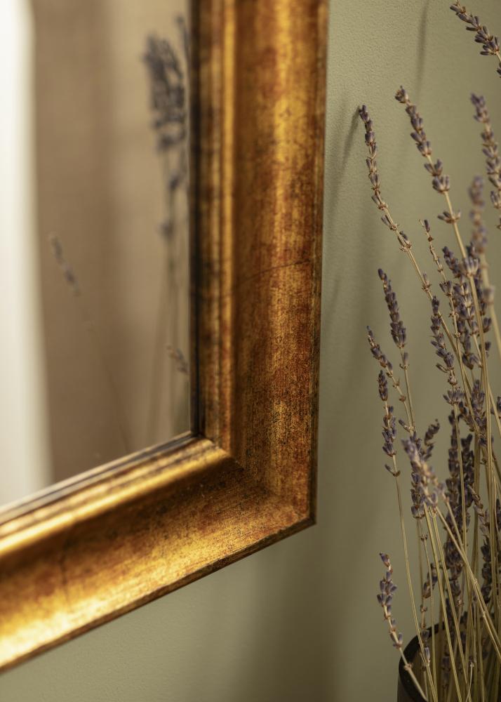 Spiegel Saltsjöbaden Goud 62x82 cm