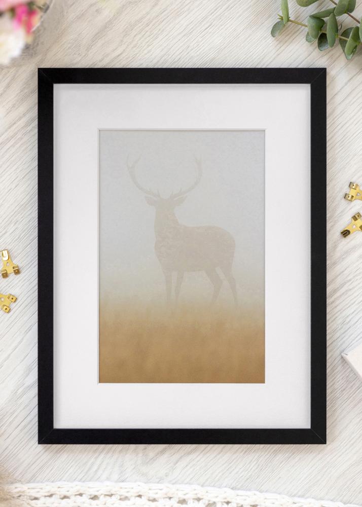 Fotolijst Selection Acrylglas Zwart 42x59,4 cm (A2)