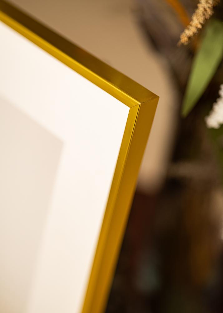 Aluminium fotolijst Acrylglas Goud 30x40 cm