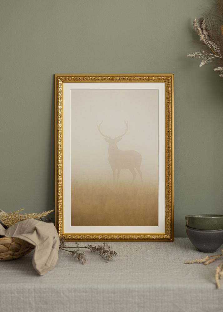 Fotolijst Nostalgia Acrylglas Goud 50x100 cm