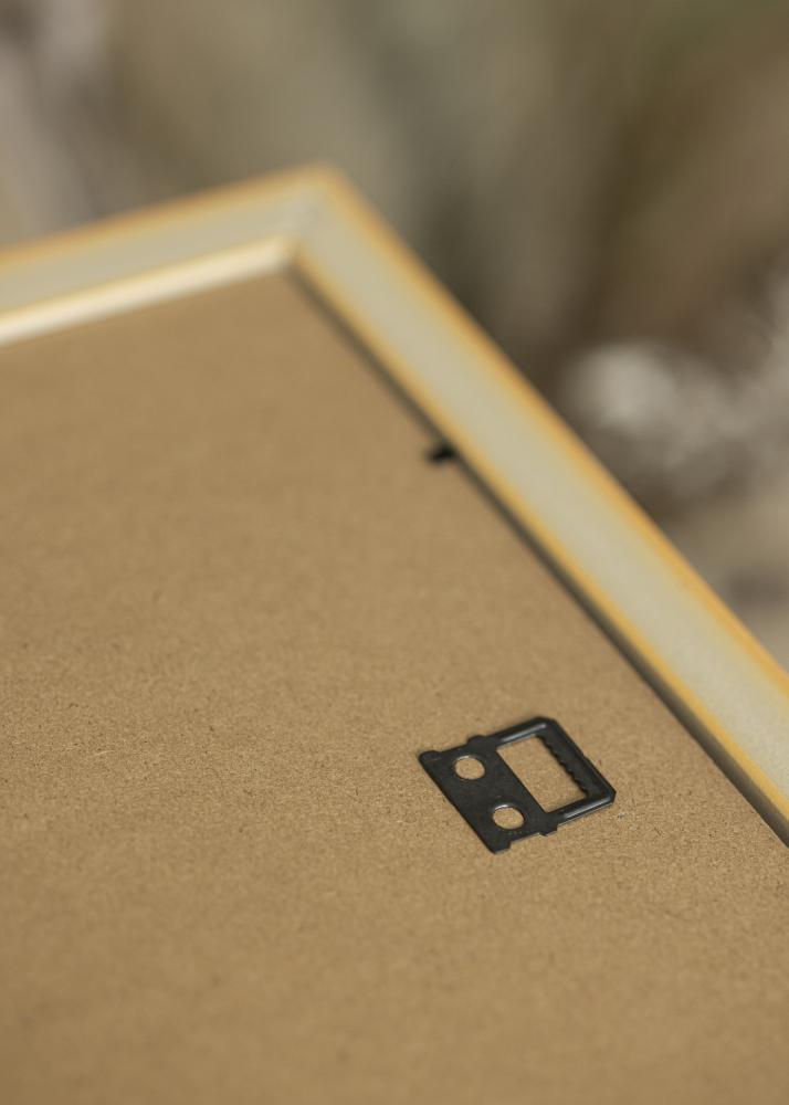 Fotolijst Nostalgia Acrylglas Goud 50x100 cm